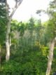 School Thota: A Vintage Homestay in Madikeri, Coorg