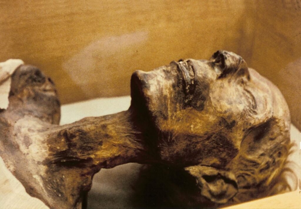 Egyptian Museum in Cairo
