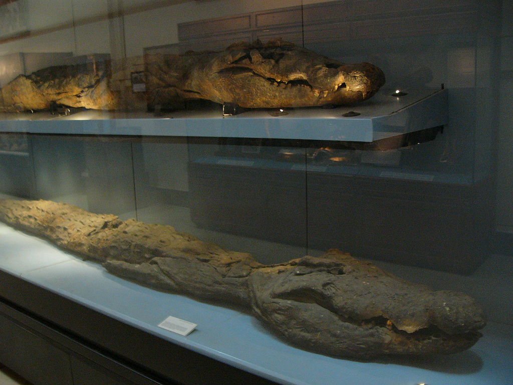 Egyptian Museum in Cairo