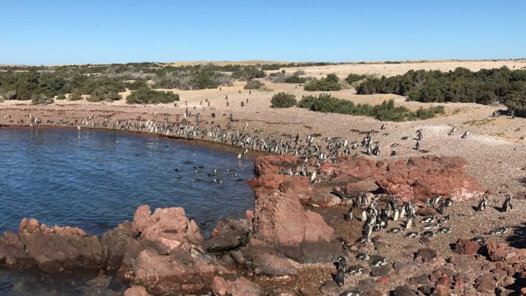 Globe-Trotter Iranian Teacher