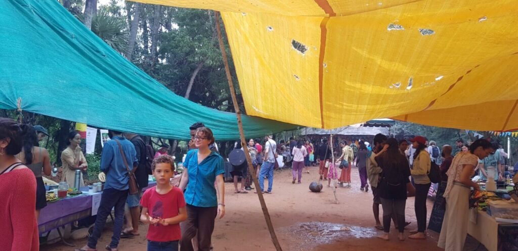 Winter Volunteering in Auroville