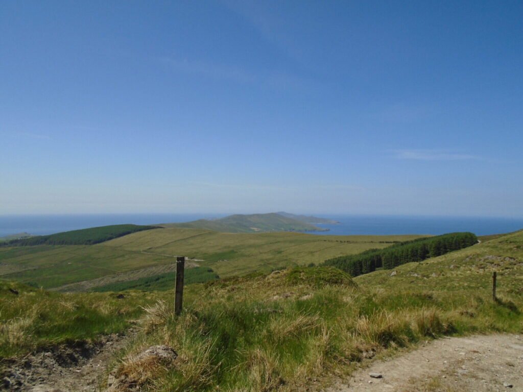 Beara