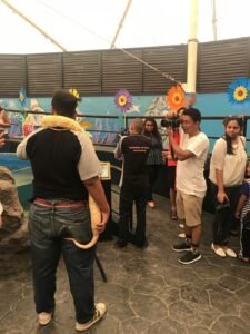 Show at Pattaya aquarium