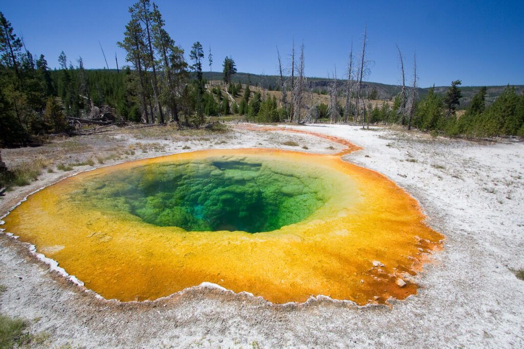 Yellow Stone National Park